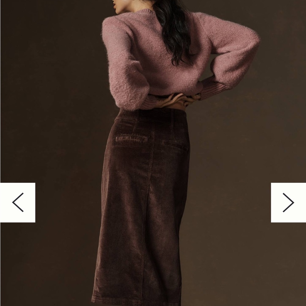Anthropologie Taupe Skirt - Picture 3 of 3